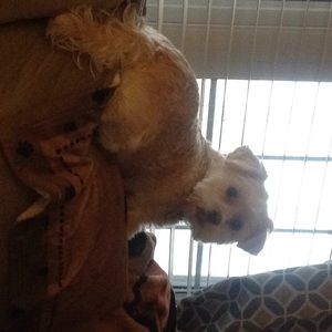 Meet your Posher, Terri